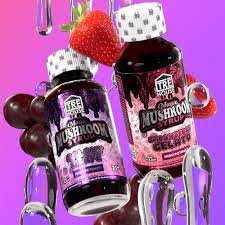 TRĒ House Mushroom Syrups Bundle